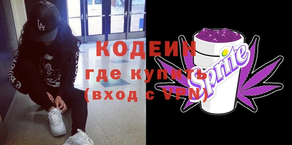 шишки Тавда