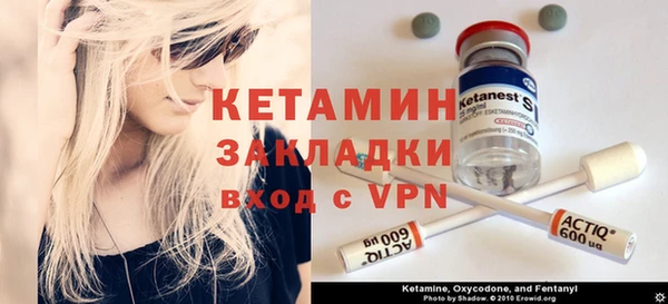 шишки Тавда