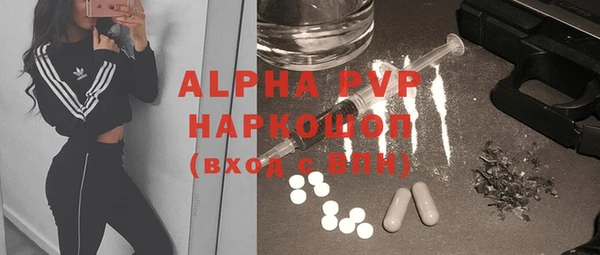 шишки Тавда