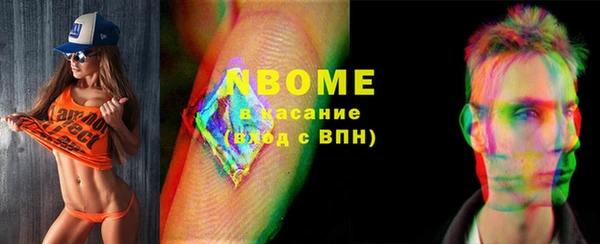 шишки Тавда