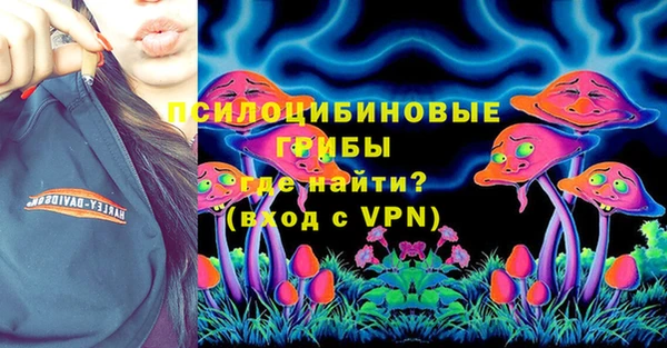 шишки Тавда