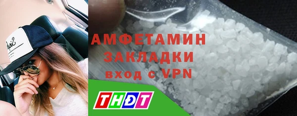 шишки Тавда