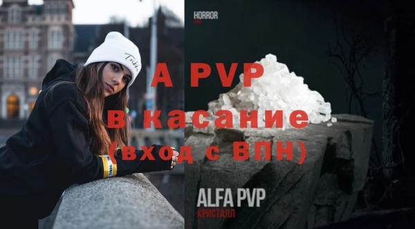 шишки Тавда