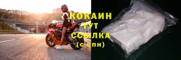 шишки Тавда
