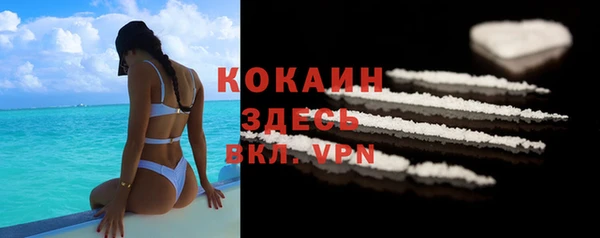 шишки Тавда