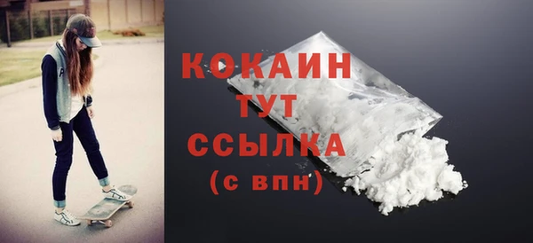 шишки Тавда