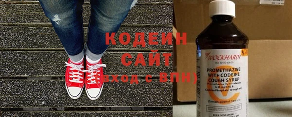 шишки Тавда