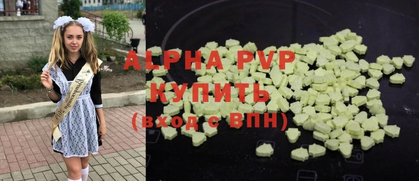 шишки Тавда