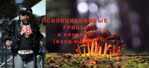 COCAINE Сясьстрой
