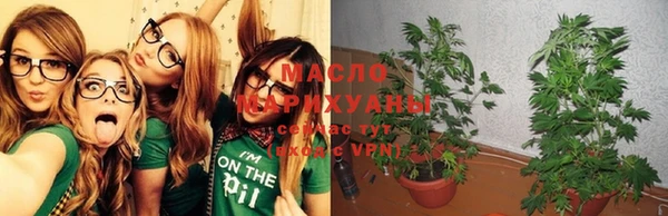 шишки Тавда