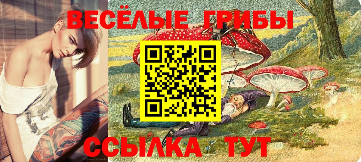 Шебекино  Псилоцибиновые грибы мицелий  Вход с VPN  Галлюциногенные грибы Magic Shrooms 