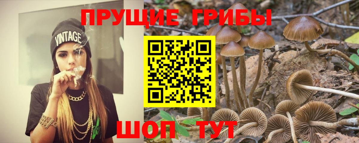 Галлюциногенные грибы Magic Shrooms Шебекино