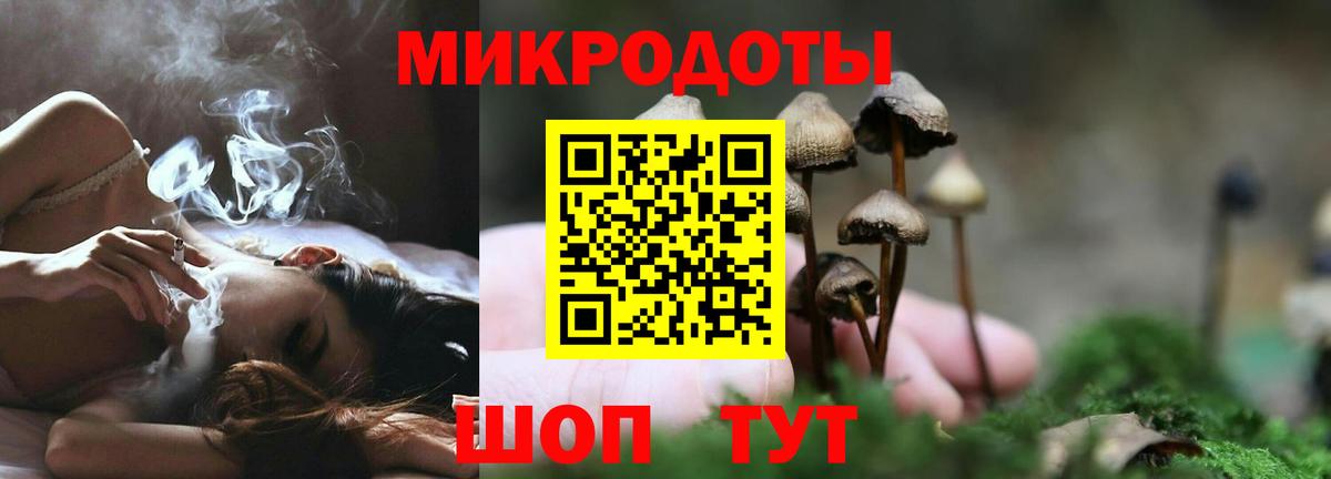 Галлюциногенные грибы ЛСД  Галлюциногенные грибы Magic Shrooms  Шебекино 