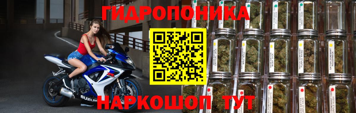 Бошки Шишки марихуана Шебекино