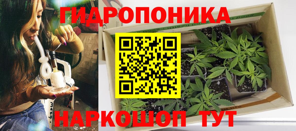 Шебекино  Конопля Bruce Banner  Марихуана сатива  Марихуана индика  Вход с VPN 